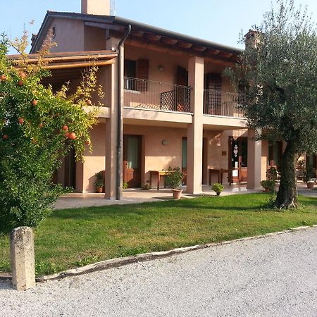 Agriturismo Morgan Montebelluna Exteriör bild