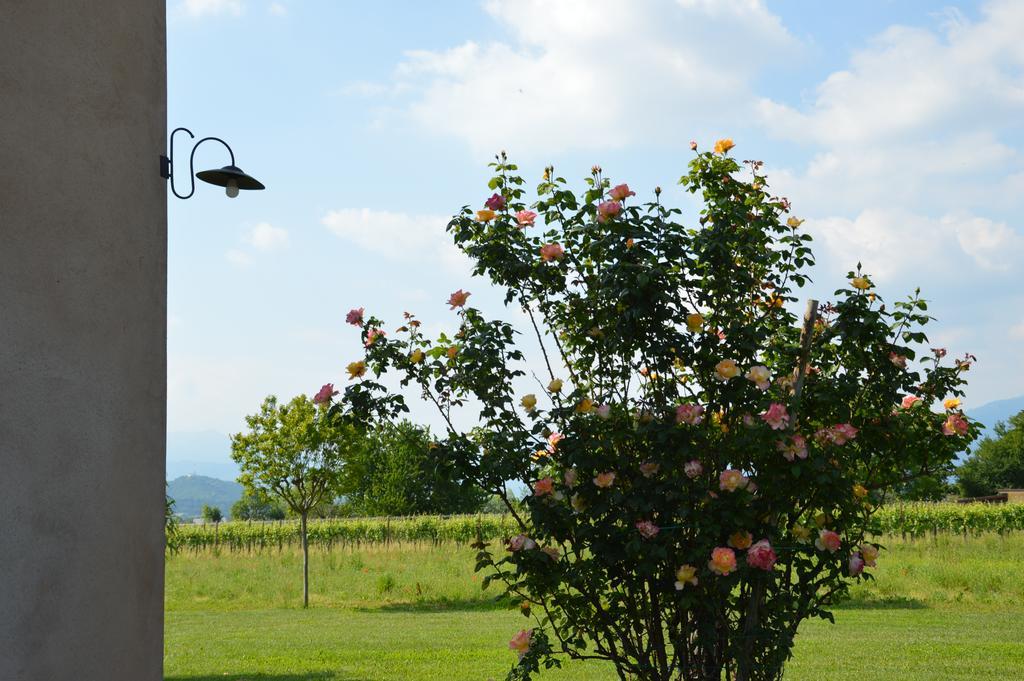 Agriturismo Morgan Montebelluna Exteriör bild