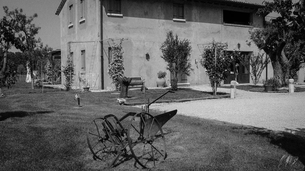 Agriturismo Morgan Montebelluna Exteriör bild